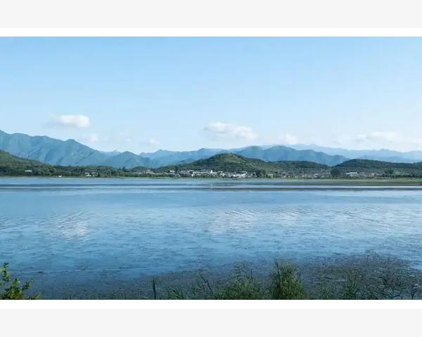 内调祛黄褐斑的最佳中成药推荐